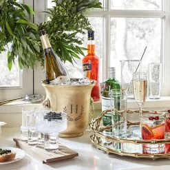 Celebration Ice Bucket | 2 -Grocery Store caviar and vodka serving set of 4 c