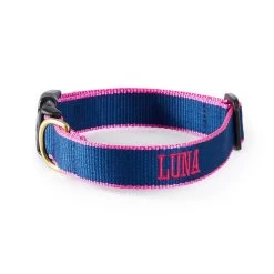 Color Market Collar | 31 -Grocery Store color market collar c 1