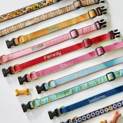 Color Market Collar | 31 -Grocery Store color market collar c 4