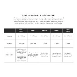 Color Market Collar | 31 -Grocery Store color market collar c 7