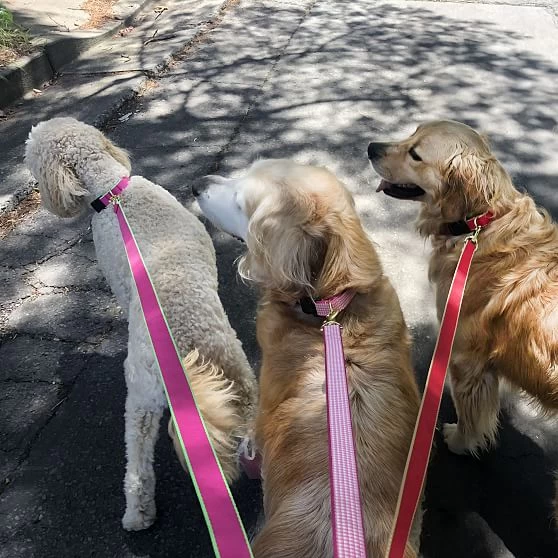 Patterned Ribbon Collar | 51 9 Patterned Ribbon Collar | 51 - Image 7