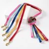 Color Market Leash | 10 -Grocery Store color market leash c 3