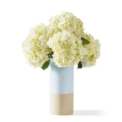 Dipped Ceramic Pitcher Vase | 7 -Grocery Store dipped ceramic pitcher vase 1 c 1