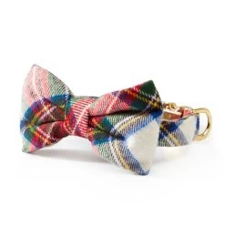The Foggy Dog Bow Tie Collar | 11
