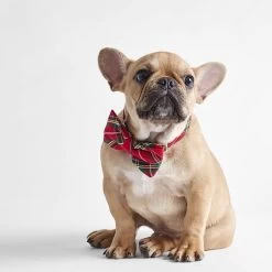 The Foggy Dog Bow Tie Collar | 11 -Grocery Store foggy dog bow tie collar c 3