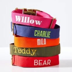 The Foggy Dog Collar | 37 -Grocery Store foggy dog collar 3 c