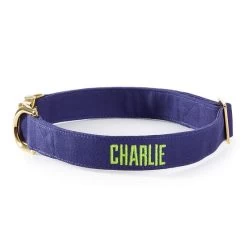 The Foggy Dog Collar | 37 -Grocery Store foggy dog collar c 1