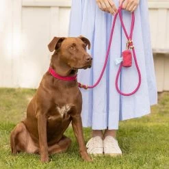 The Foggy Dog Leash Set | 6 18 The Foggy Dog Leash Set | 6 -Grocery Store foggy dog leash set 2 c