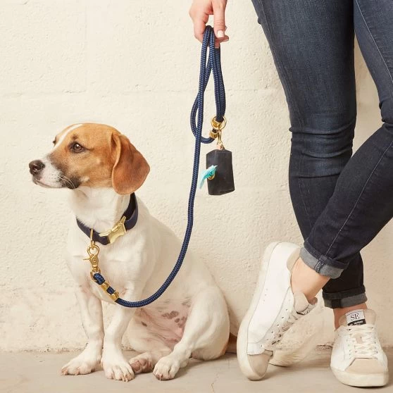 The Foggy Dog Leash Set | 6 3 The Foggy Dog Leash Set | 6