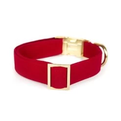 The Foggy Dog Velvet Collar | 1 21 The Foggy Dog Velvet Collar | 1 -Grocery Store foggy dog velvet collar 1 c 1