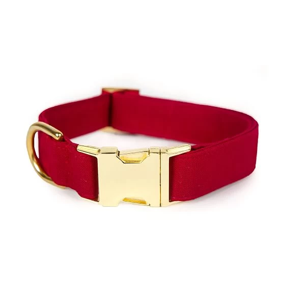 The Foggy Dog Velvet Collar | 1 10 The Foggy Dog Velvet Collar | 1 - Image 8