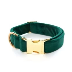 The Foggy Dog Velvet Collar | 1 15 The Foggy Dog Velvet Collar | 1 -Grocery Store foggy dog velvet collar 3 c