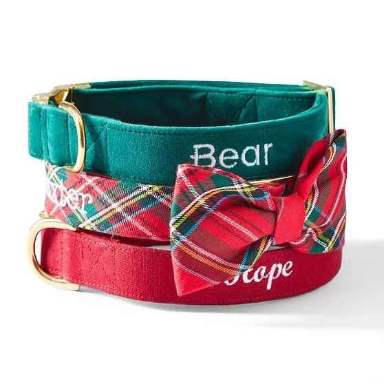 The Foggy Dog Velvet Collar | 1 7 The Foggy Dog Velvet Collar | 1 - Image 5