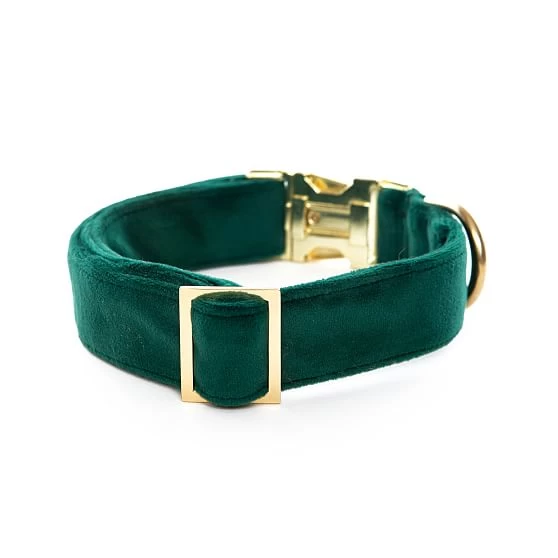 The Foggy Dog Velvet Collar | 1 6 The Foggy Dog Velvet Collar | 1 - Image 4