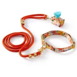 The Foggy Dog Walk Set | 15 -Grocery Store foggy dog walk set 1 c