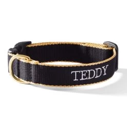 Color Market Collar | 31 -Grocery Store img11c 35