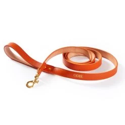 Leather Dog Leash | 8 23 Leather Dog Leash | 8 -Grocery Store img11c 36