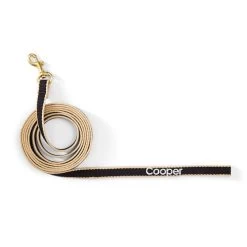 Color Market Leash | 10 -Grocery Store img14c 36