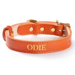 Leather Dog Collar | 24 -Grocery Store img1c 77