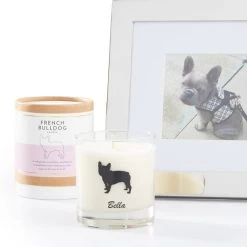 Pet Lover Candle | 3 27 Pet Lover Candle | 3 -Grocery Store img38c 24
