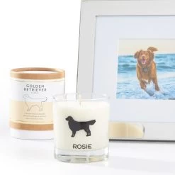 Pet Lover Candle | 3 28 Pet Lover Candle | 3 -Grocery Store img44c 27