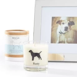 Pet Lover Candle | 3 20 Pet Lover Candle | 3 -Grocery Store img52c 28
