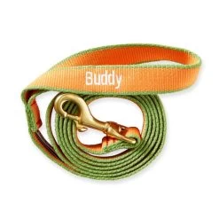 Color Market Leash | 10 -Grocery Store img61c 23