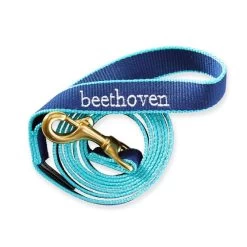 Color Market Leash | 10 -Grocery Store img67c 28