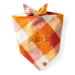 The Foggy Dog Bandana | 6 -Grocery Store img71c 18