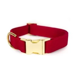The Foggy Dog Velvet Collar | 1 23 The Foggy Dog Velvet Collar | 1 -Grocery Store img7c 54