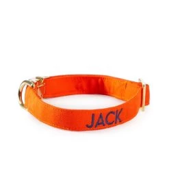 The Foggy Dog Collar | 37 -Grocery Store img8c 12