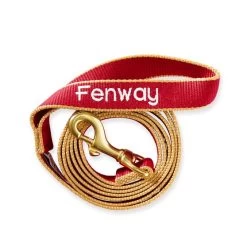 Color Market Leash | 10 -Grocery Store img92c 21