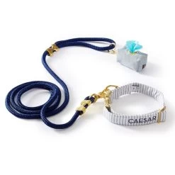 The Foggy Dog Walk Set | 15 -Grocery Store img92c 22