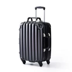 5-Bottle Wine-Ready Checked Luggage | 2 -Grocery Store img93c 22