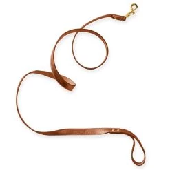 Leather Dog Leash | 8 24 Leather Dog Leash | 8 -Grocery Store img94c 22