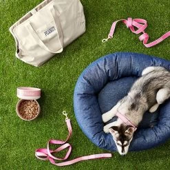 Jax & Bones Dog Donut Bed | 9 25 Jax & Bones Dog Donut Bed | 9 -Grocery Store jax bones dog donut bed c 5