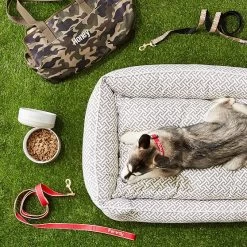 Color Market Leash | 10 -Grocery Store jax bones dog lounge bed c 2