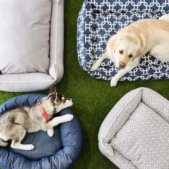 Jax & Bones Dog Donut Bed | 9 24 Jax & Bones Dog Donut Bed | 9 -Grocery Store jax bones dog lounge bed c 4