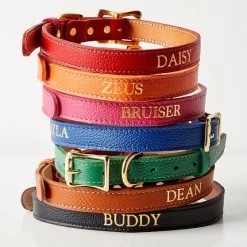 Leather Dog Collar | 24 -Grocery Store leather dog collar c 1