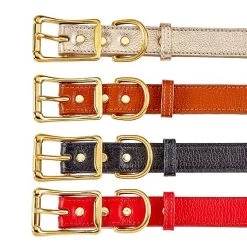 Leather Dog Leash | 8 19 Leather Dog Leash | 8 -Grocery Store leather dog leash 1 c 1