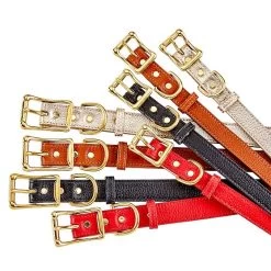 Leather Dog Leash | 8 20 Leather Dog Leash | 8 -Grocery Store leather dog leash c 2