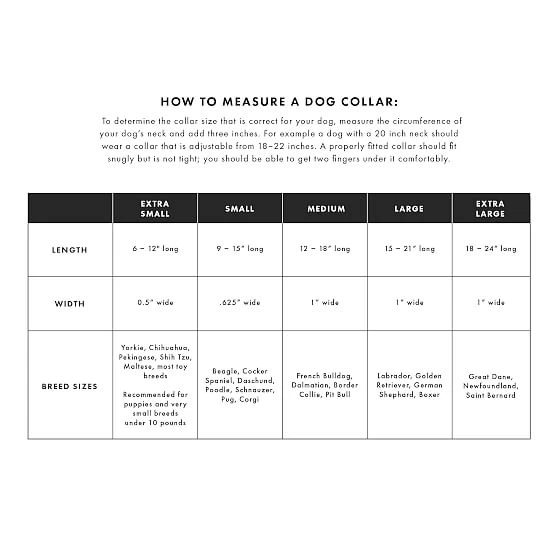 Patterned Ribbon Collar | 51 13 Patterned Ribbon Collar | 51 - Image 11