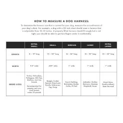 Patterned Ribbon Harness | 11 -Grocery Store patterned ribbon harness c 2