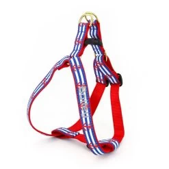 Patterned Ribbon Harness | 11