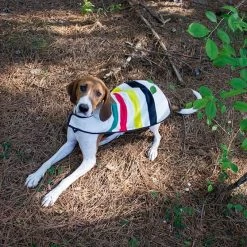 Pendleton National Park Pet Coat | 10 -Grocery Store pendleton national park pet coat c 3