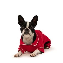 Pet Pajamas | 5 10 Pet Pajamas | 5 -Grocery Store pet pajamas 2 c