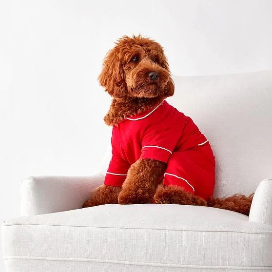 Pet Pajamas | 5 5 Pet Pajamas | 5 - Image 3