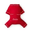 Pet Pajamas | 5 -Grocery Store pet pajamas c