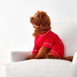 Pet Pajamas | 5 11 Pet Pajamas | 5 -Grocery Store pet pajamas c 2