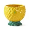 Pineapple Party Bowl | 1 -Grocery Store pineapple punch bowl c